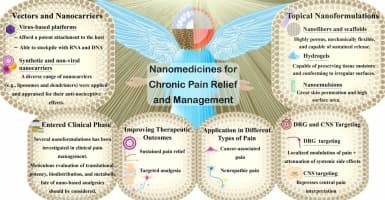 Recent advances in nanomedicines for chronic pain relief ...