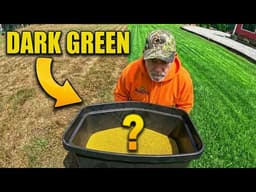 Stop Guessing: The 3-Phase Plan for a Dark Green Lawn