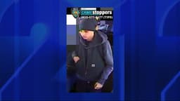 News 12 | Bronx | Attacker Slashed Man And Stole Bag Of Fried Chicken In Marine Park