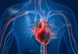 FDA Approves Mounjaro to Lower Cardiovascular Risk in ...