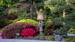 “Meet the Niwashi” Program Connects Portland Japanese Garden to Kyoto