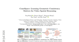 ConsiSpace: Learning Geometric Consistency Matters for Video Spatial Reasoning
