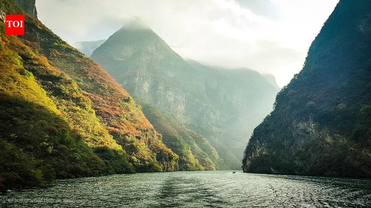 Planted vs Natural Forests: Resilience in China's Yangtze ...