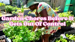 Raised Bed Refresh & Plant Care ‍ Getting Ready For Summer ...