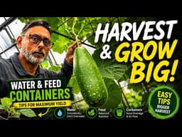 How to Grow Massive Bottle Gourds in Pots!