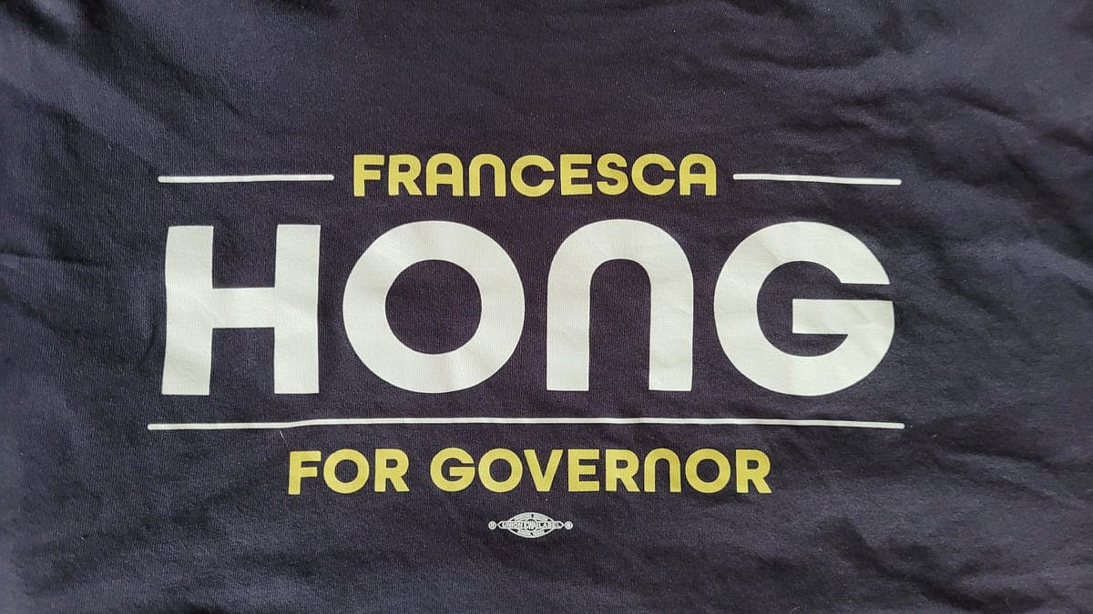 The Consultant Class Did Francesca Hong and the Voters Wrong