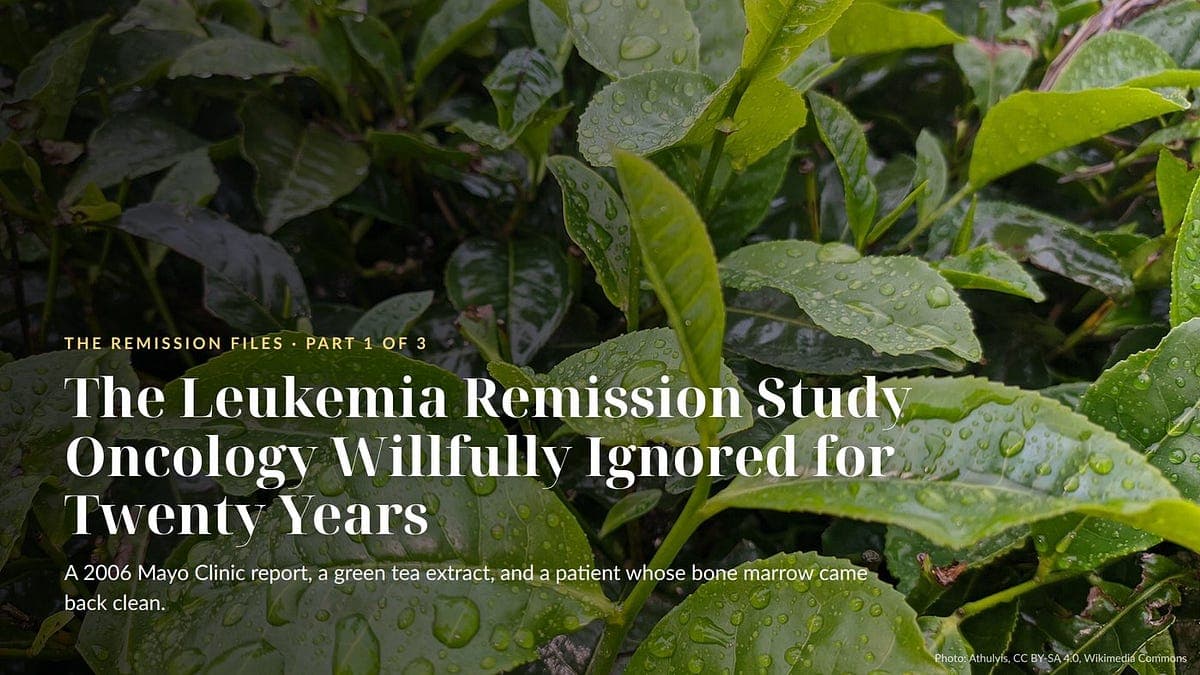 The Leukemia Remission Study Oncology Willfully Ignored for Twenty Years