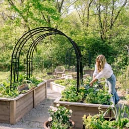The 5-Step System for Transitioning Your Garden from Spring to Summer