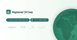 Full Guide: Reduce and Offset Your Business Travel Emissions