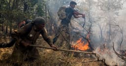 In Iran's Zagros, villagers fight oak forest fires the state ...