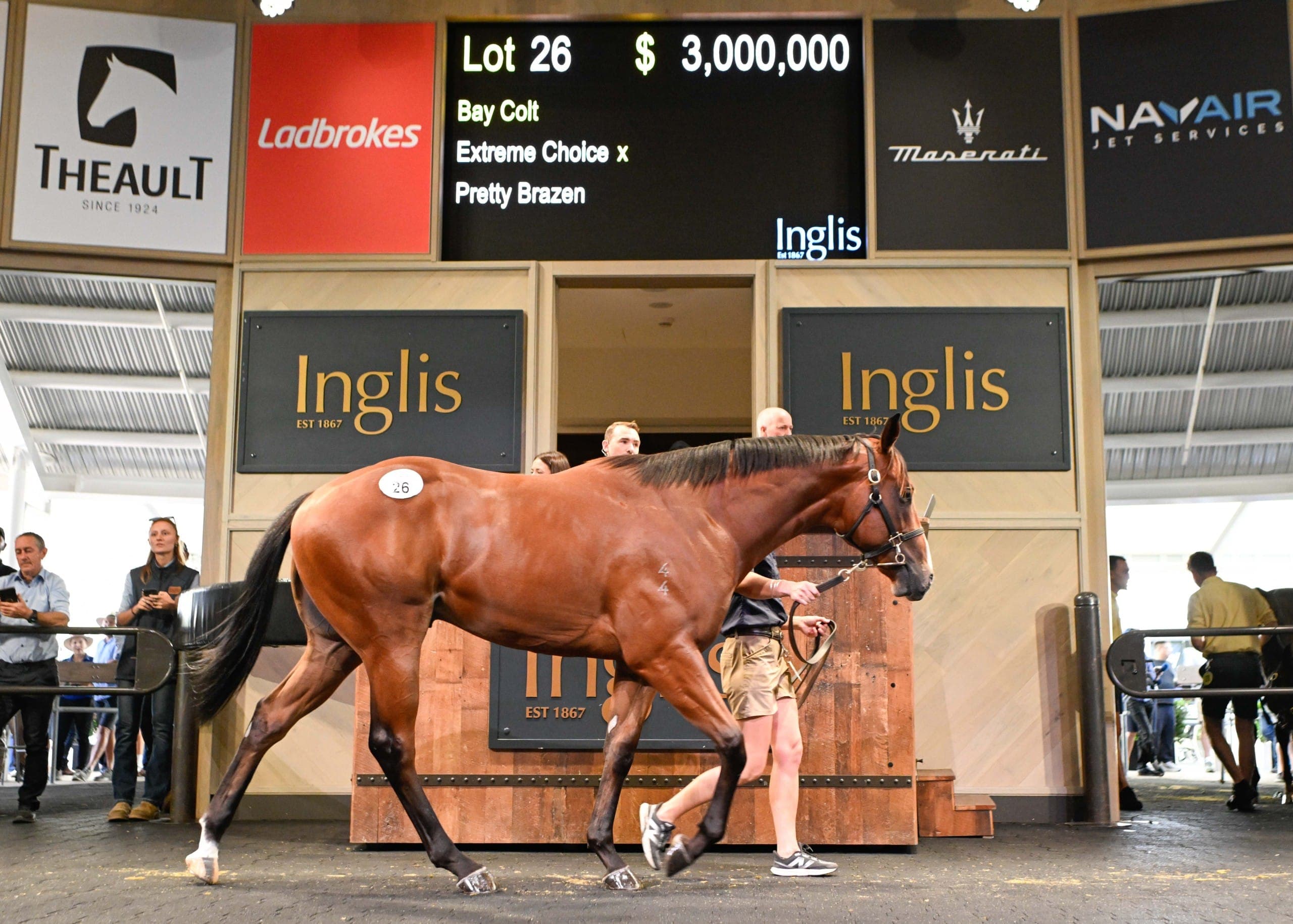 Entries open for 2027 Inglis yearling sales
