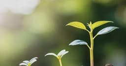 German pension associations support venture capital ...