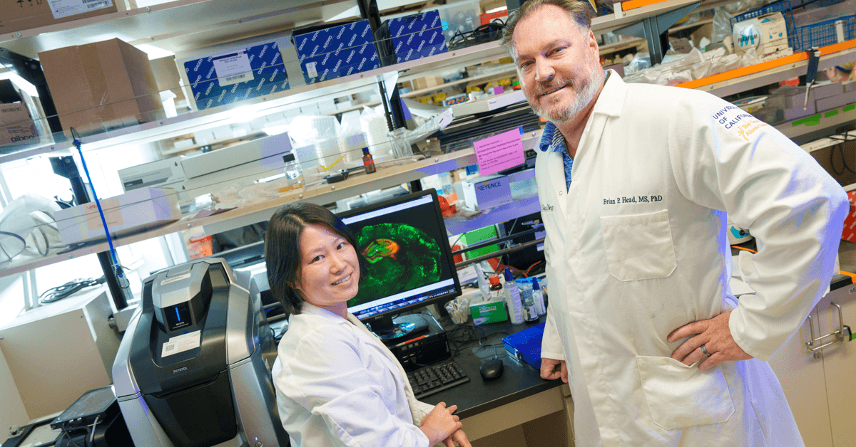 Experimental Gene Therapy Shields Brain from Toxic Protein Damage
