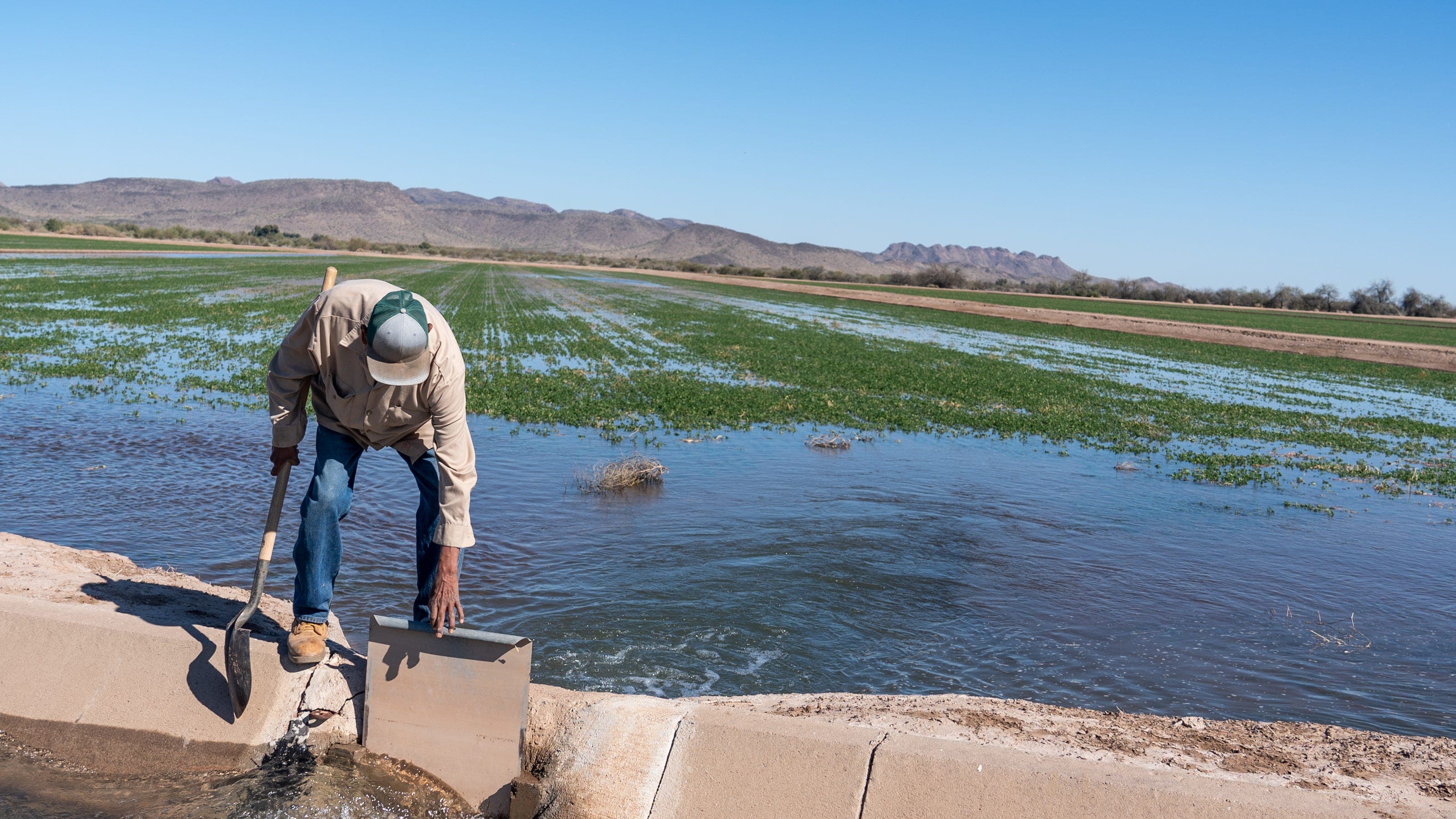 App tracks water use from space. How it could help Arizona farmers
