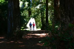 Insights and Featured Hike News