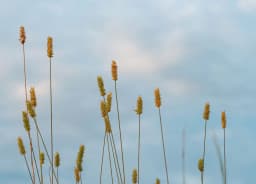 How to keep little misunderstandings from blowing up into huge fights | Alchemy of Love