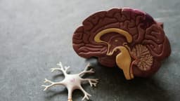 Tau uncovered: Alzheimer's diagnosis and treatment
