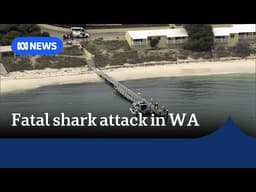 Man killed in shark attack at Rottnest Island near Perth | ABC NEWS