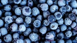 12 sickened with E. coli connected to frozen blueberries ...