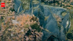 Canada’s underwater volcano reveals over a million giant ravioli eggs in shocking deep-sea discovery | World News - The Times of India