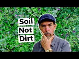 Cover Crops For Soil Improvement And Ecology