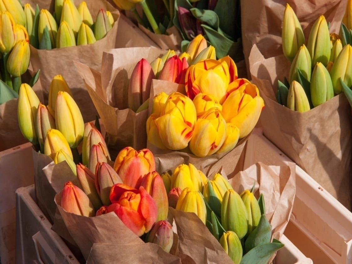 6 Things To Do In Mountain View This Spring: Markets, Festivals & Local Events | Mountain View, CA Patch