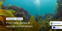 From kelp genes to marine policy: the MARFOR story