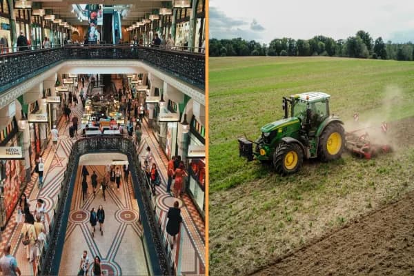 Lululemon and Tractor Supply Are Both Down Nearly 40%
