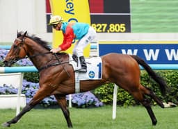 Ka Ying Rising Headlines FWD Champions Day Entries