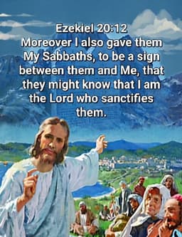 @3AngelsWatchman: Psalms 19:7
The law of the Lord is perfect, converting the soul;
The testimony of the Lord is sure, ...