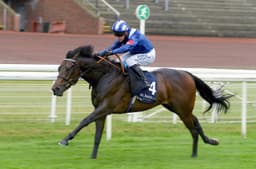 Freshmen's judgement time - The Owner Breeder