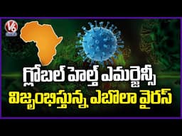 Ebola Virus Outbreak In African Countries | WHO Declares Global Health Emergency | V6 News