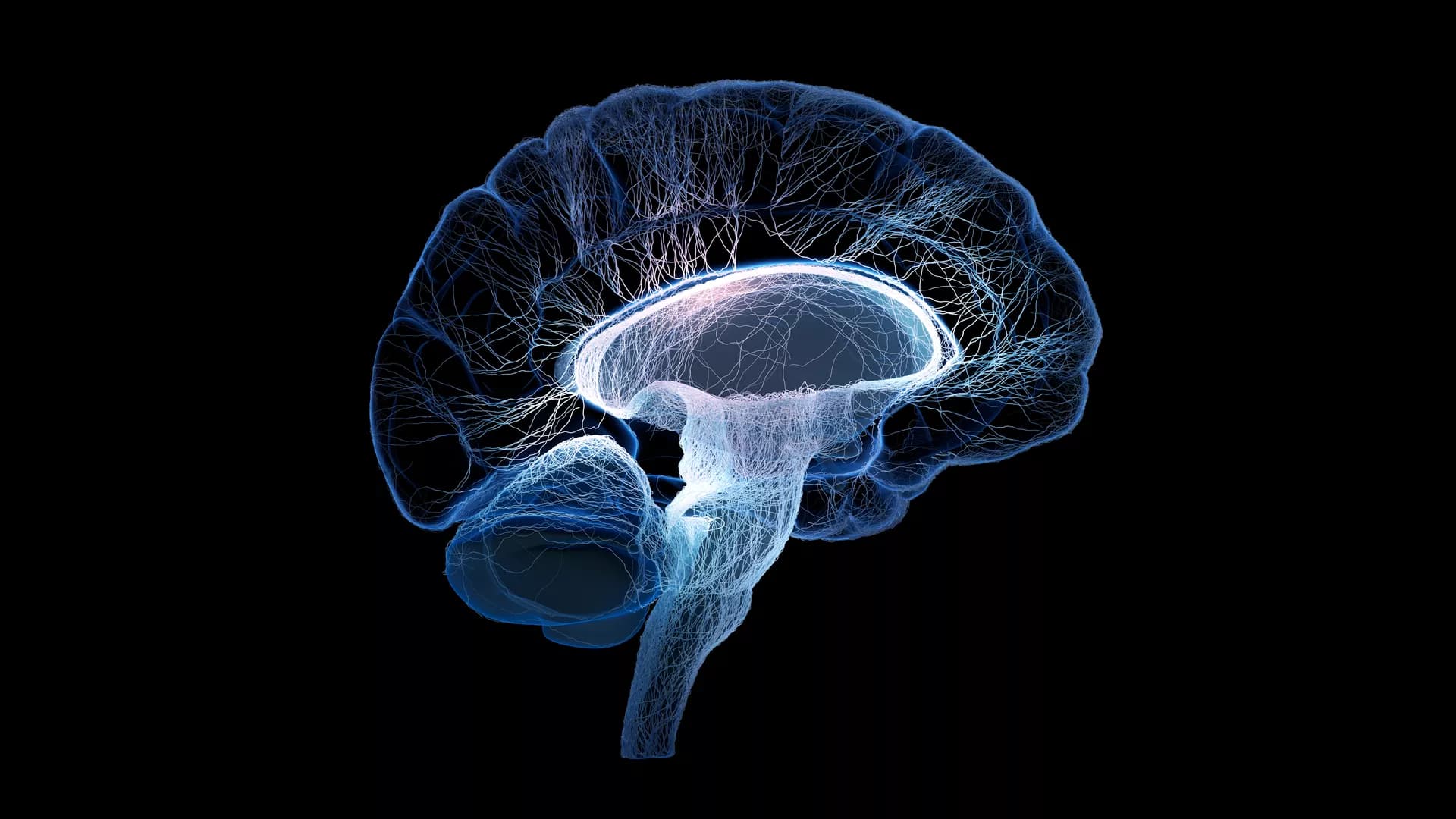 Frontiers | Frontotemporal lobar degeneration complexity: atypical presentations and heterogeneous proteinopathies in five cases