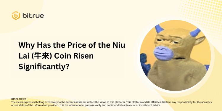Why Has the Price of the Niu Lai (牛来) Coin Risen ...