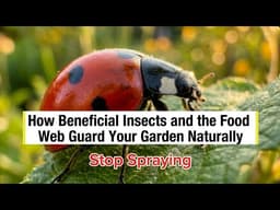 How Beneficial Insects and the Food Web Guard Your Garden Naturally. Stop Spraying 