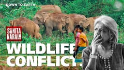 The Sunita Narain Show: Understanding the Complexities of Human–Wildlife Conflict in India