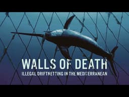 Walls of Death: Illegal Driftnetting in the Mediterranean | EJF Documentary