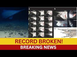 Goblin Shark Filmed Alive Deepest Shark Sighting Ever Recorded (Tonga Trench)