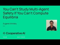 You Can’t Study Multi-Agent Safety If You Can’t Compute Equilibria