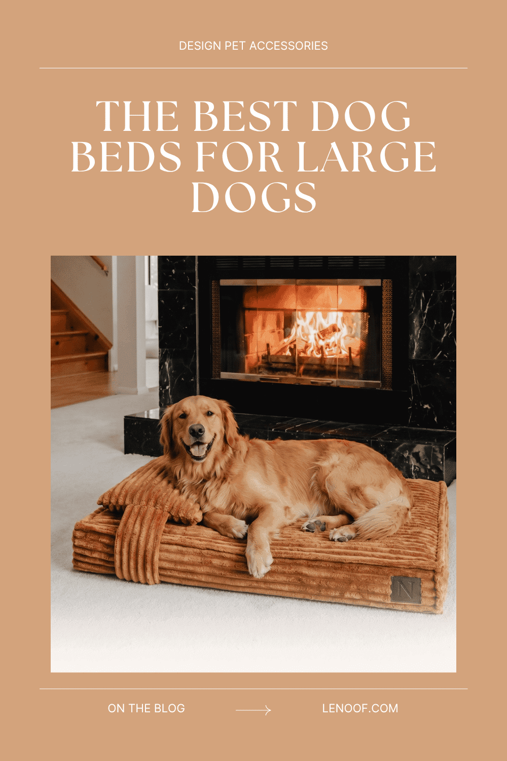 Don't Buy a Large Dog Bed Until You Read This (2026) - Le Noof