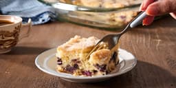 Easy Blueberry Crumb Cake Recipe