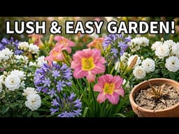 20 Best Low-Maintenance Plants That Thrive Year After Year (Drought-Tolerant & Easy Care)