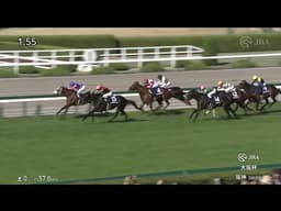 OSAKA HAI 2026 (G1) | CROIX DU NORD