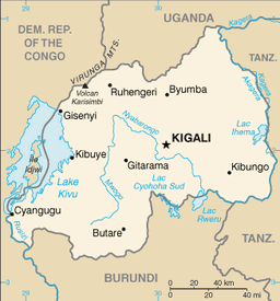 Rwanda's Coffee Varieties Enter Commercial Trials