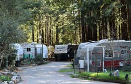 Santa Cruz County records 12% increase in homelessness ...