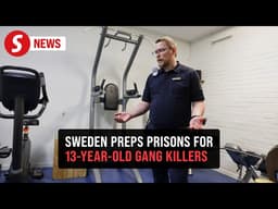What to do about children who kill: Sweden's crime debate
