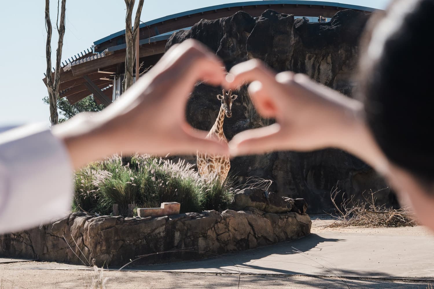 Taronga Zoo Wedding Photography - Sydney - Pepper Image