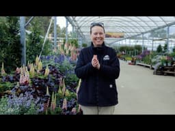 PETITTI | Perennial Bloom Calendar: May Blooming Perennials