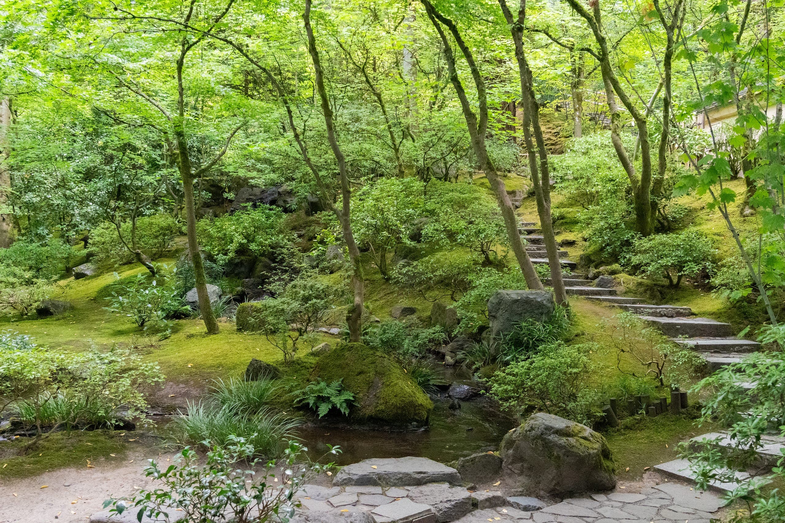 An Exploration of Moss at Portland Japanese Garden