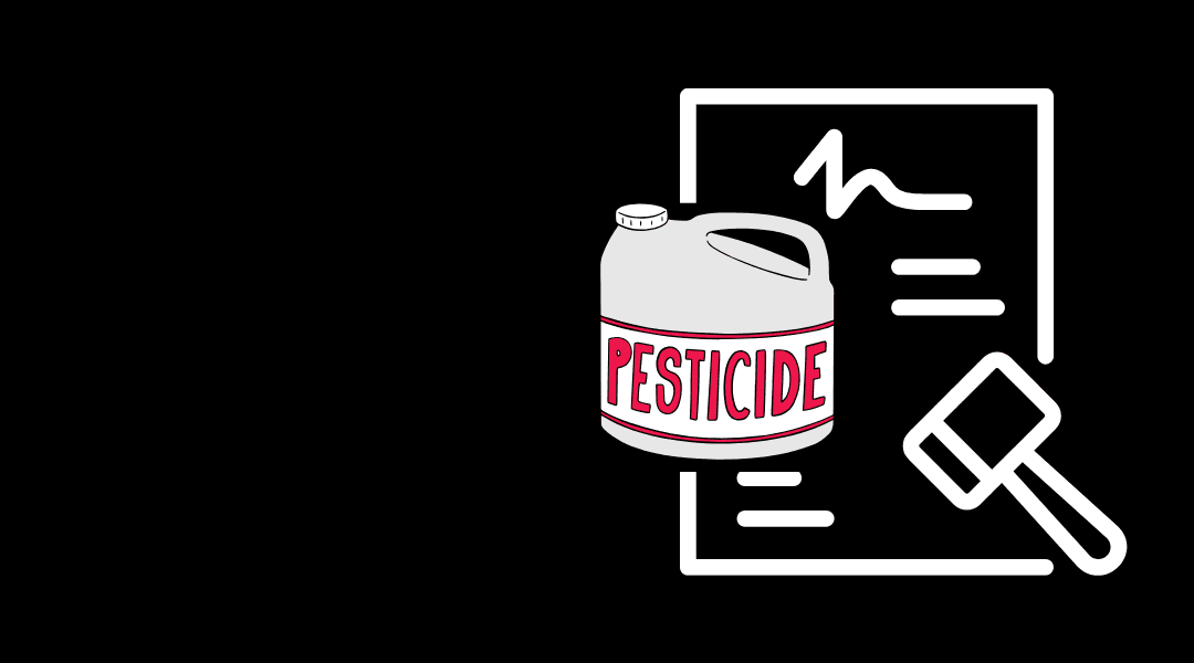 SHF Takes Fight for Accountability to the Supreme Court